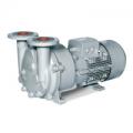 Вакуумные насосы Elmo Rietschle L-BV5