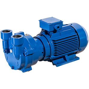 Моноблочный водокольцевой вакуумный насос ERSTEVAK ELRPX 80