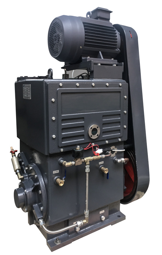 Золотниковый вакуумный насос ERSTEVAK АВЗК-600