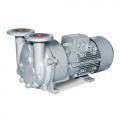 Вакуумные насосы Elmo Rietschle одноступенчатые