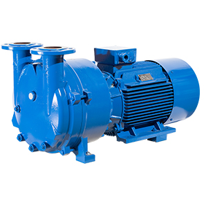 Моноблочный водокольцевой вакуумный насос ERSTEVAK ELRPX 500