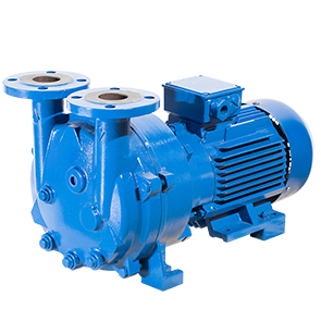 Моноблочный водокольцевой вакуумный насос ERSTEVAK ELRPX 230