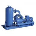 Вакуумные насосы Robuschi KRVS